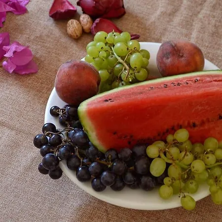 Apartament τhe Hidden Garden *