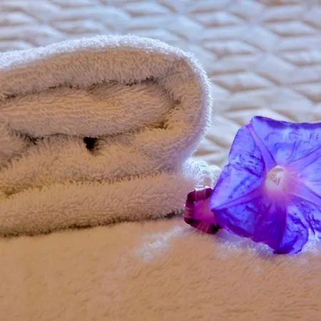 τhe Hidden Garden Apartament *