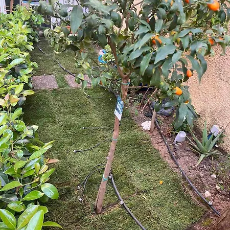 τhe Hidden Garden * Corfu (city)