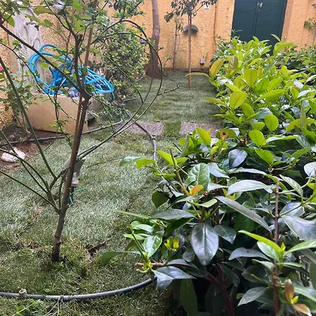 Apartament τhe Hidden Garden *