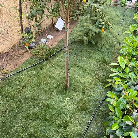 τhe Hidden Garden *