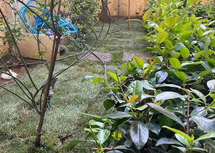 Appartamento τhe Hidden Garden *