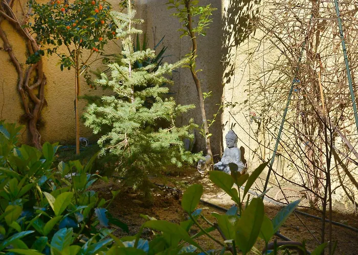 τhe Hidden Garden Corfu (city)